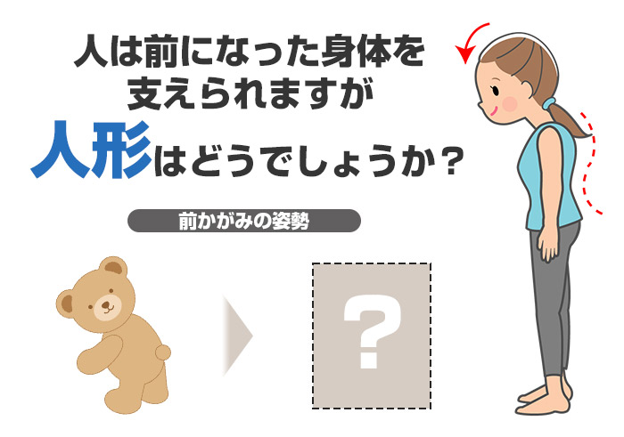 前かがみの姿勢になった人と人形で比べてみてください。